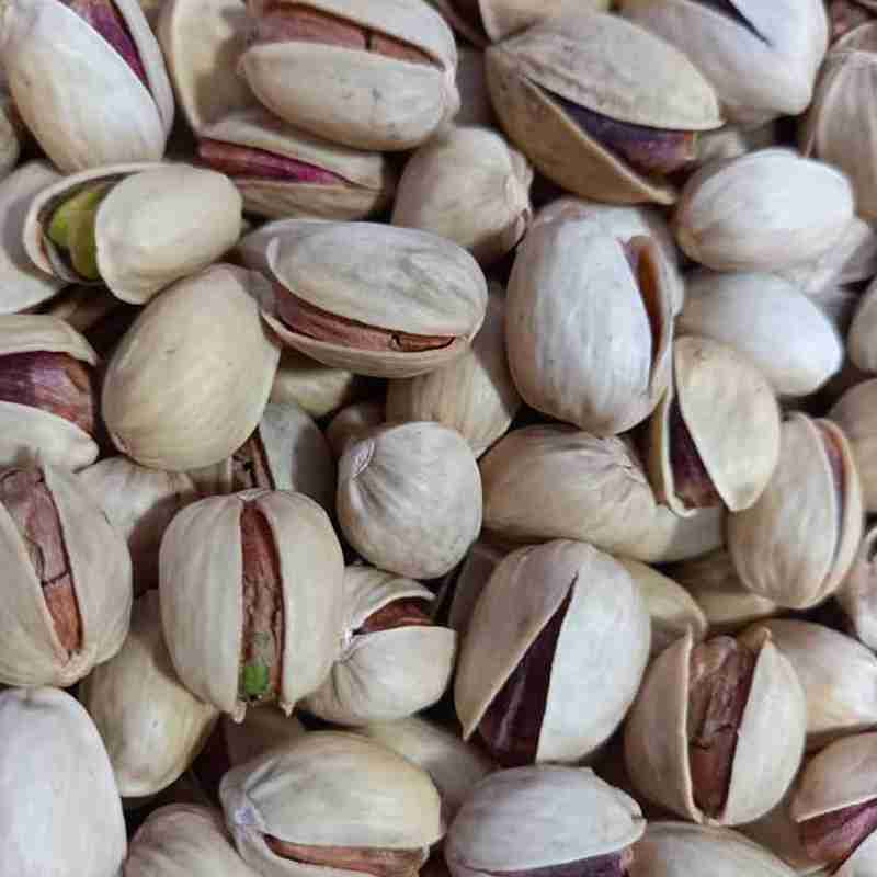 تصویر 2 از قیمت پسته تر با کیفیت ارزان + خرید عمده